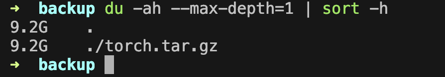 Packed torch archive size